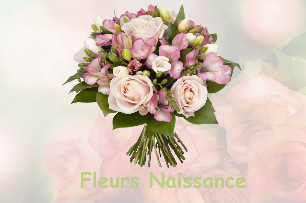 fleurs naissance SAINT-SULPICE-DE-FALEYRENS